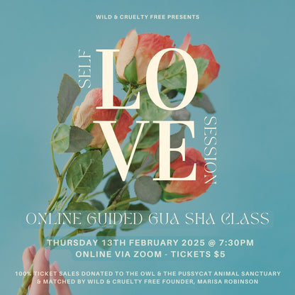 Self Love Session - Online Guided Gua Sha Class